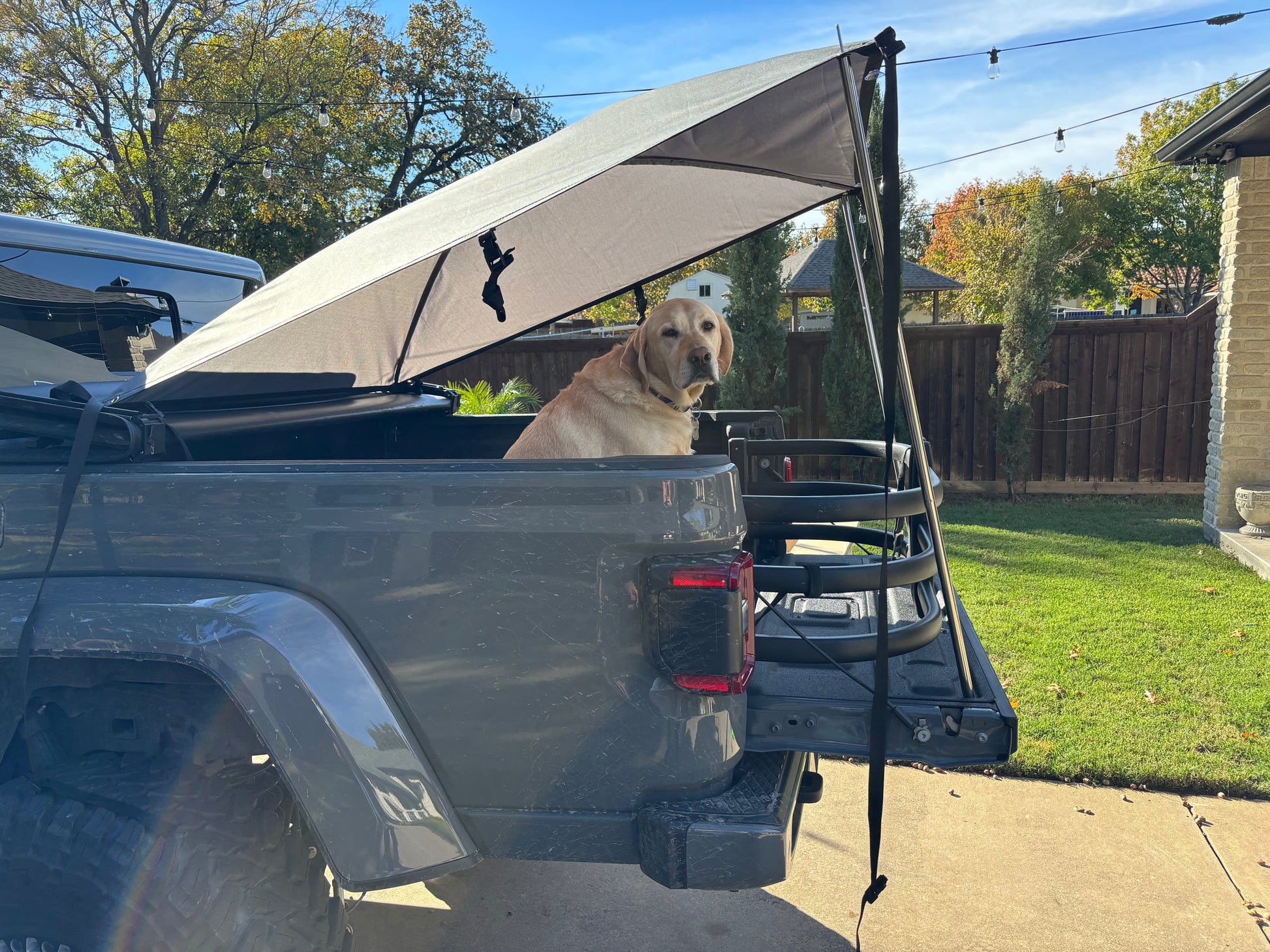 Sport Trail Topper covers JT Jeep gate with dog in back
