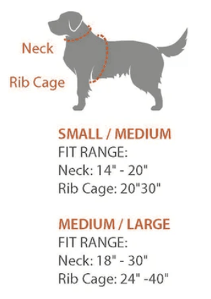 Rockworkx Pet Harness with Retractable Leash