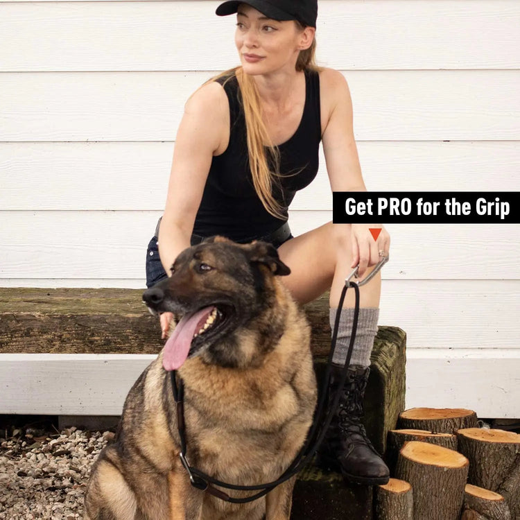 Dog Gear