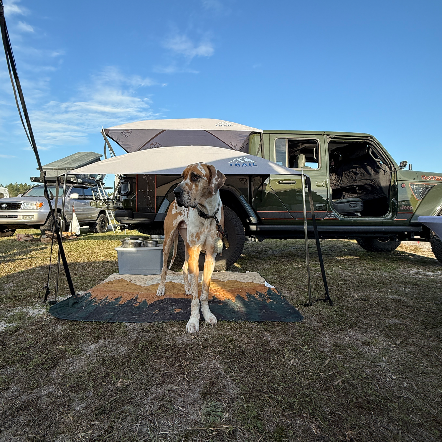 Great dane dog standing under Trail Topper shade awning at campground