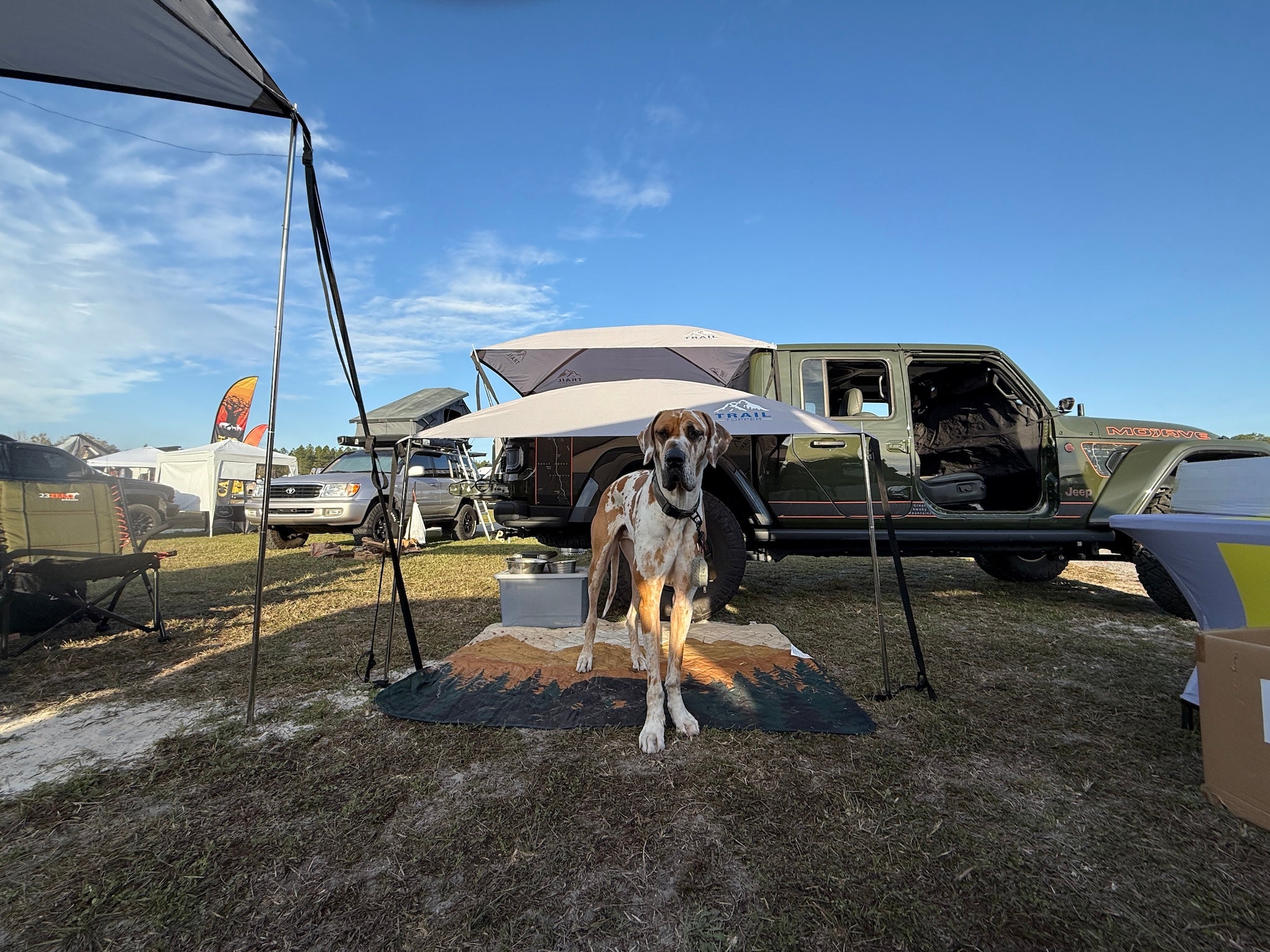 Great dane dog standing in front of a Gladiator JT with a clear blue sky under a Adventure Trail Topper shade awning