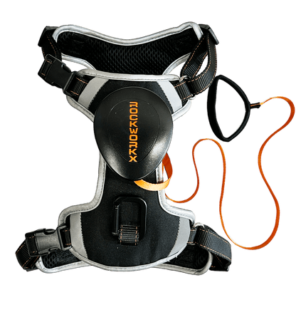 Rockworkx Pet Harness with Retractable Leash