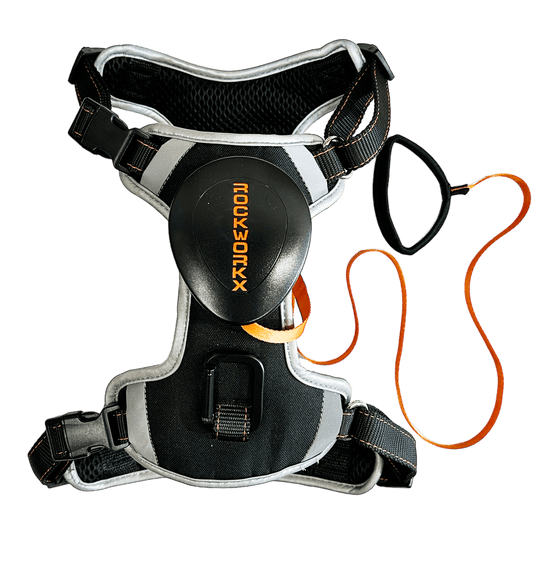 Rockworkx Pet Harness with Retractable Leash