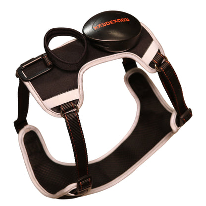 Rockworkx Pet Harness with Retractable Leash
