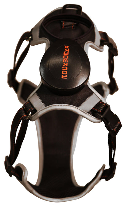 Rockworkx Pet Harness with Retractable Leash